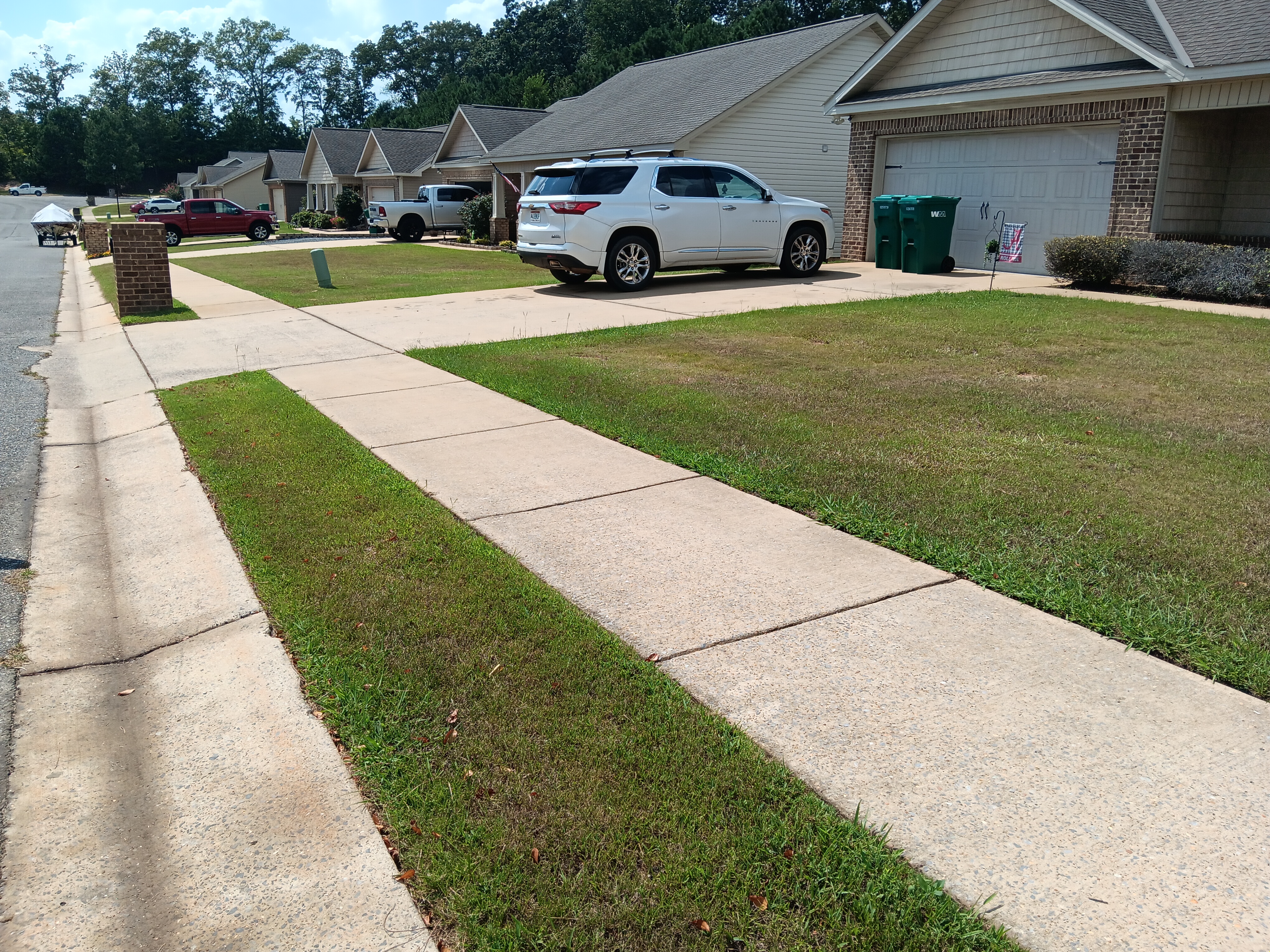 Fresh stripes after mowing